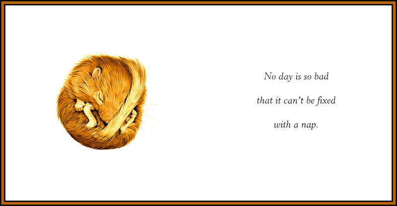 [D50 Scan] Jane Seabrook 'Furry Logic' - A Nap (Hamster); DISPLAY FULL IMAGE.