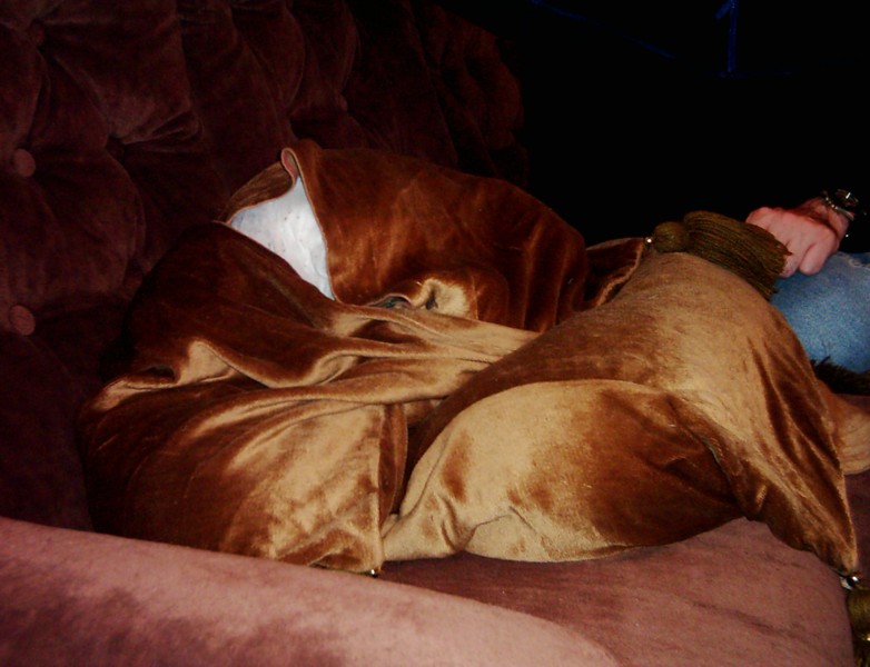 the cushion saga; DISPLAY FULL IMAGE.