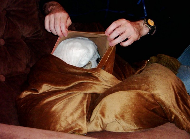 cushion saga 2; DISPLAY FULL IMAGE.
