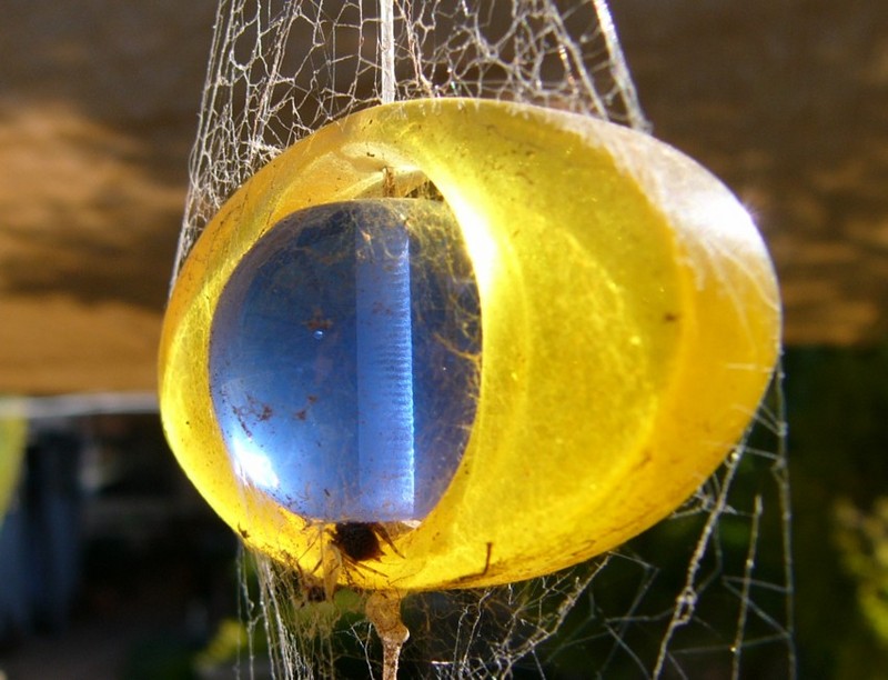 culpri t- crazy web; DISPLAY FULL IMAGE.