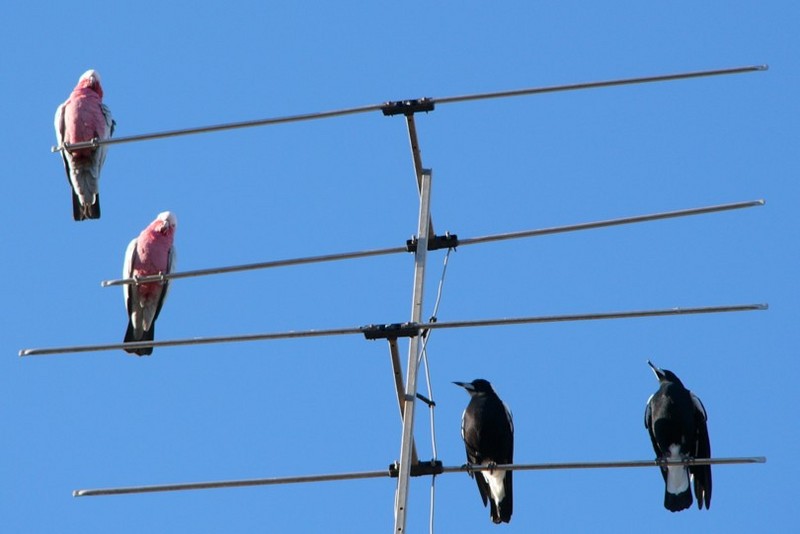 stand off; DISPLAY FULL IMAGE.
