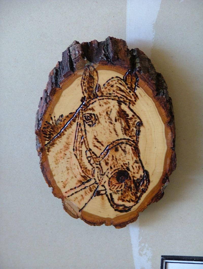 Quarter horse.; DISPLAY FULL IMAGE.