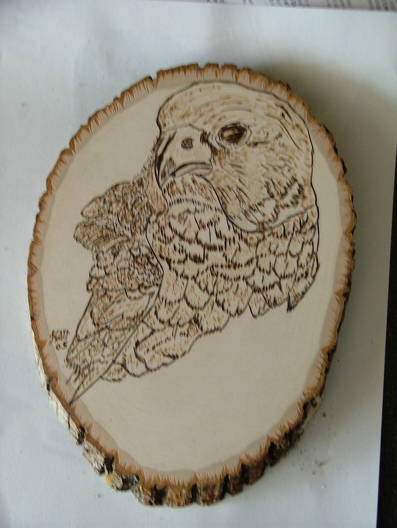 Hawk.; DISPLAY FULL IMAGE.