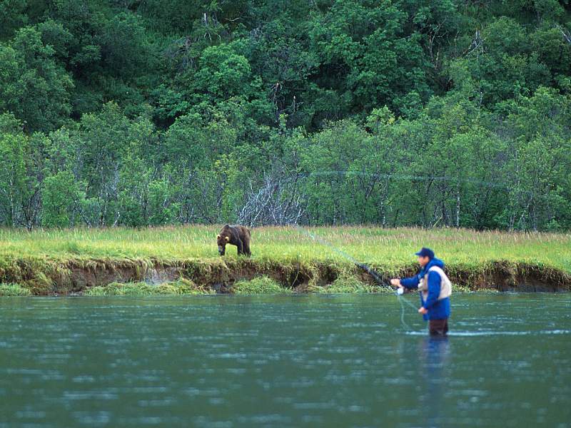 Double Take (Bear and Fisherman); DISPLAY FULL IMAGE.