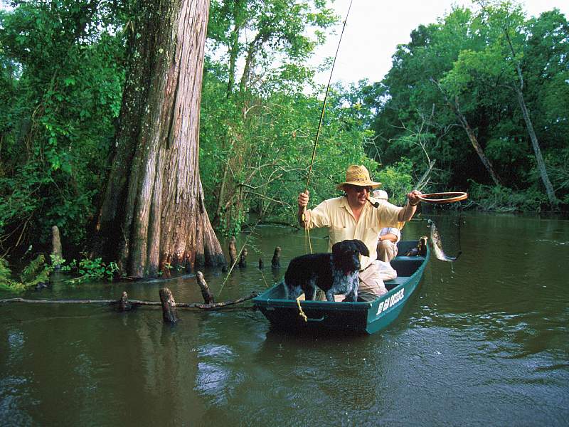 Flyfisherman with Largemouth Bass; DISPLAY FULL IMAGE.