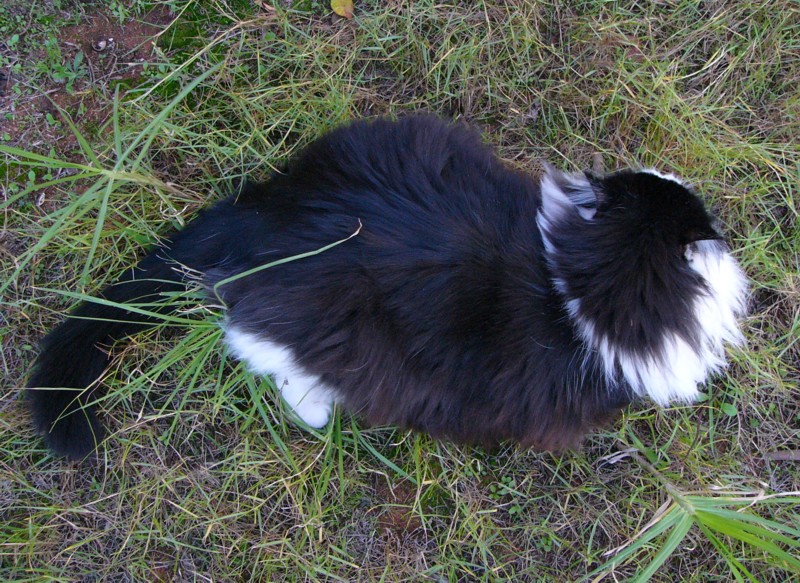 Velcro at play 3; DISPLAY FULL IMAGE.