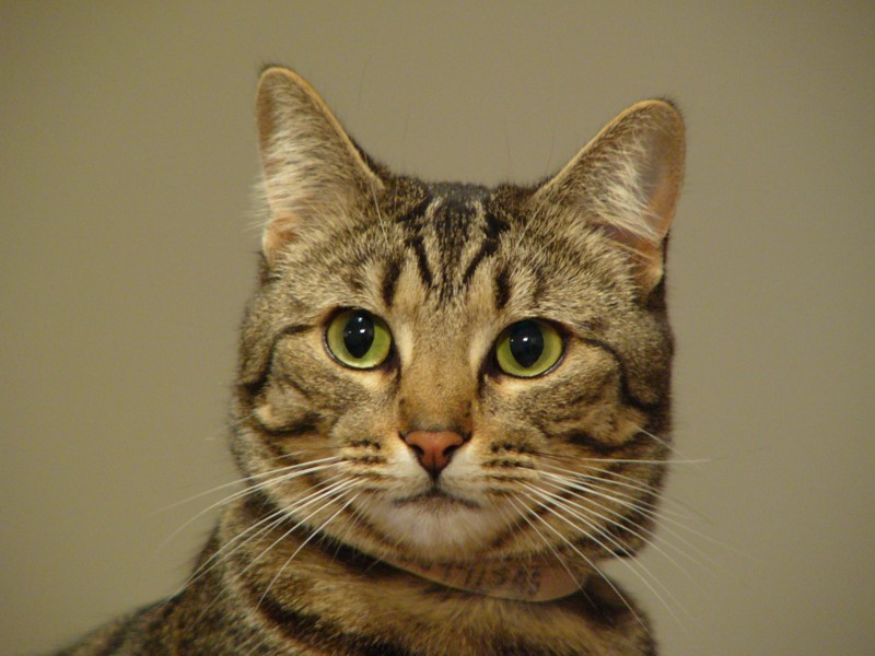 Lily is still angry; DISPLAY FULL IMAGE.