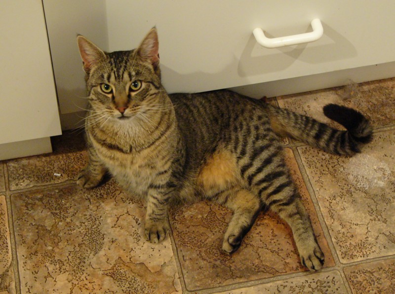 Roddy reclining; DISPLAY FULL IMAGE.