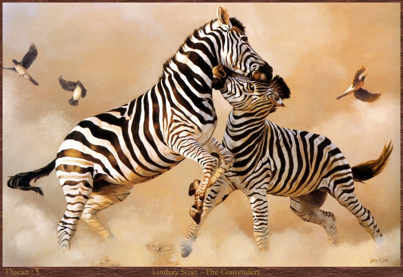 TXscan_05_Lindsay_Scott-The_Contenders; DISPLAY FULL IMAGE.