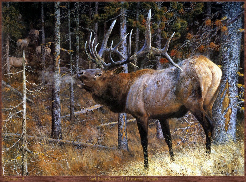 TXscan_09_Carl_Brenders-A_Hunters_Dream; DISPLAY FULL IMAGE.