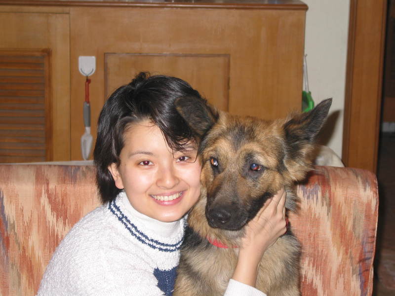 Dog 