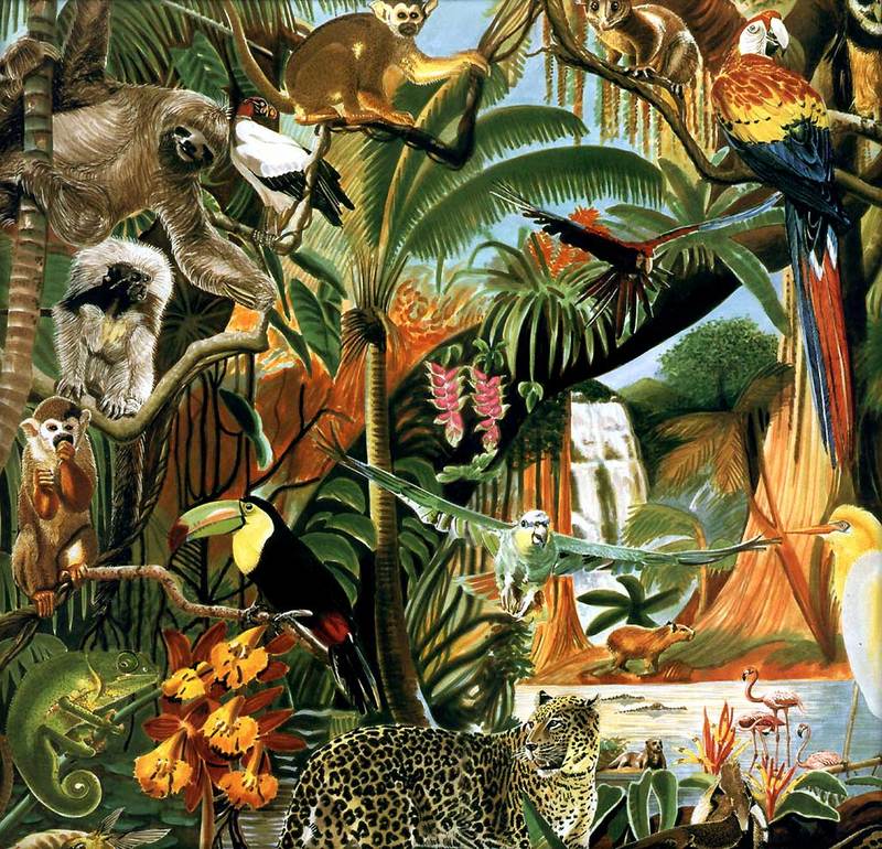 [Animal Awareness 1999 Calendar] November (Tropical Forest); DISPLAY FULL IMAGE.