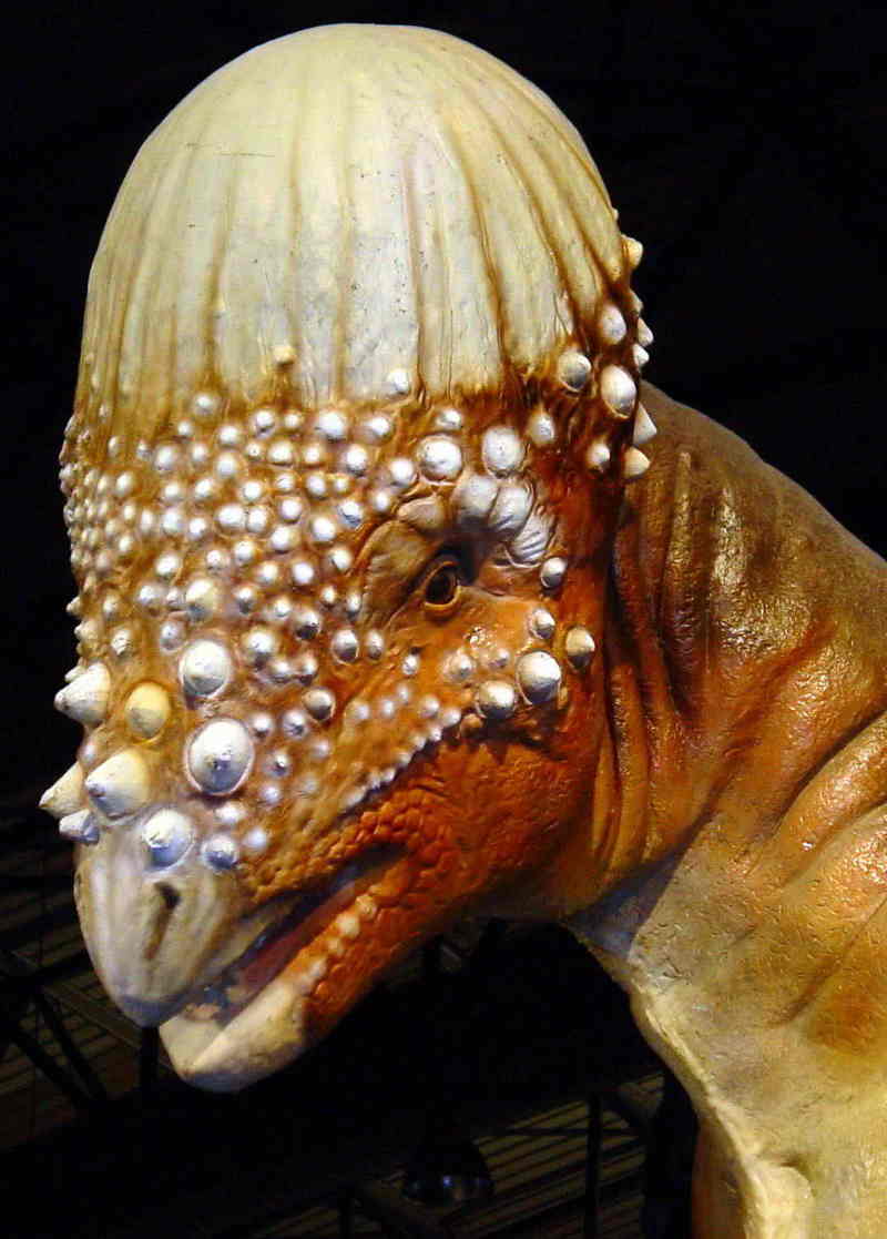 dinosaur; DISPLAY FULL IMAGE.