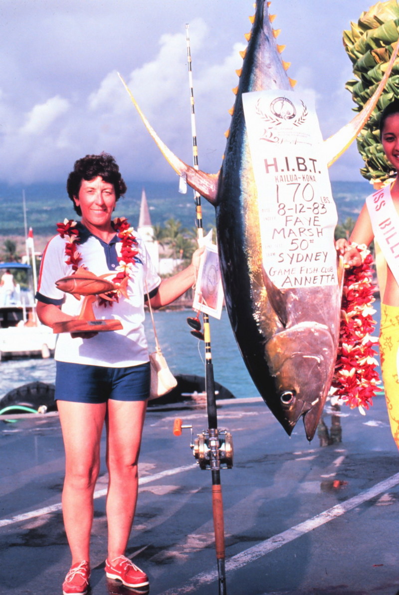 Yellowfin Tuna (Thunnus albacares) {!--황다랑어(황다랭이)-->; DISPLAY FULL IMAGE.