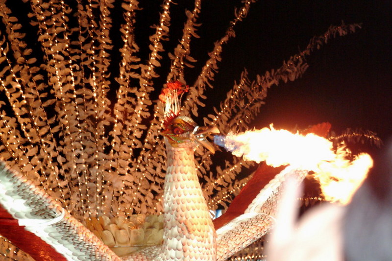 [Animal Lantern] Fire Peacock; DISPLAY FULL IMAGE.