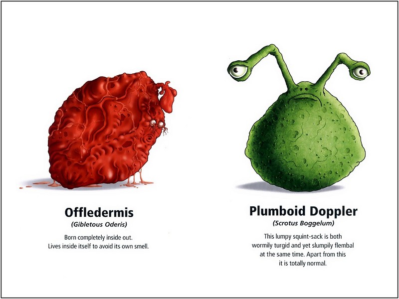 [xLR8]-Flanimals; DISPLAY FULL IMAGE.