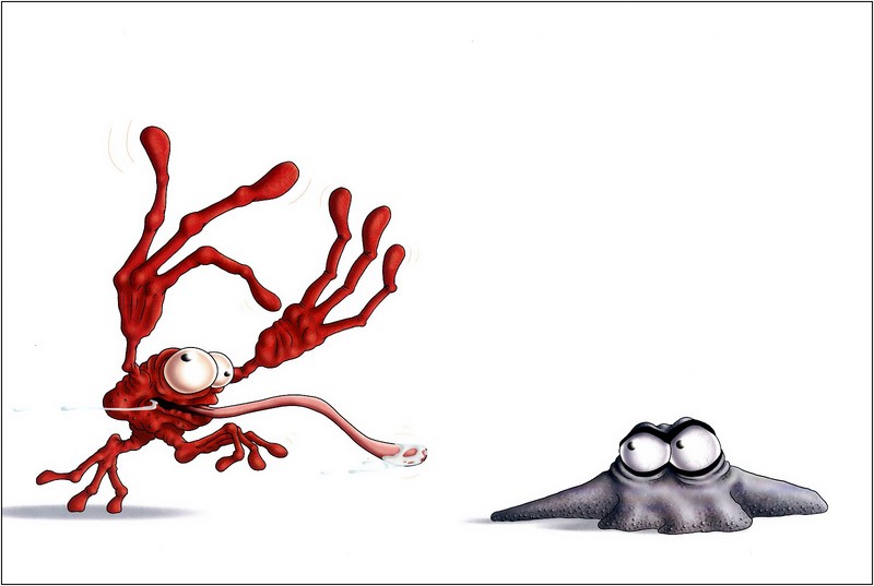 [xLR8]-Flanimals; DISPLAY FULL IMAGE.