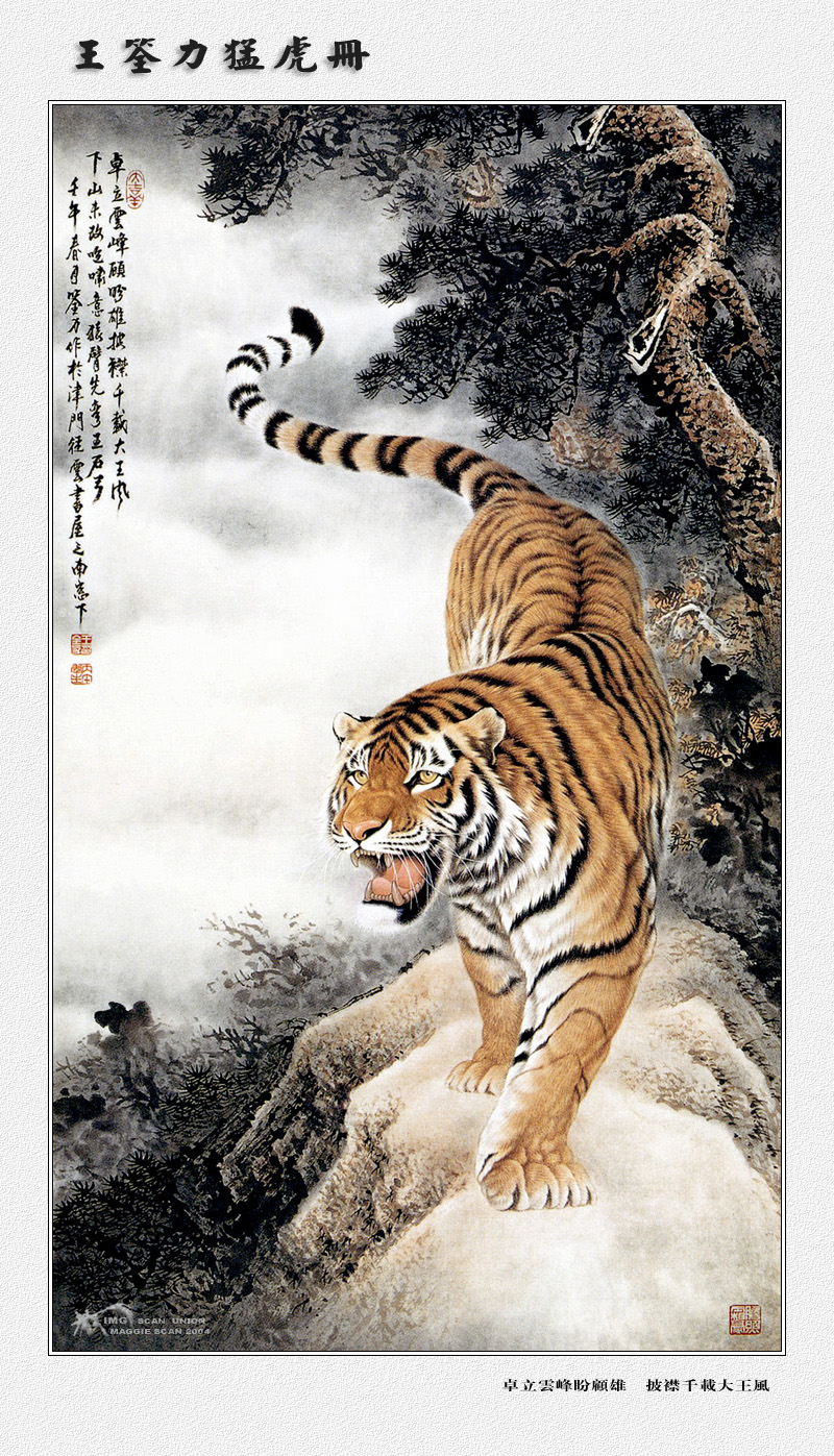 [maggie Scan] Wang Quan Li(Tiger); DISPLAY FULL IMAGE.