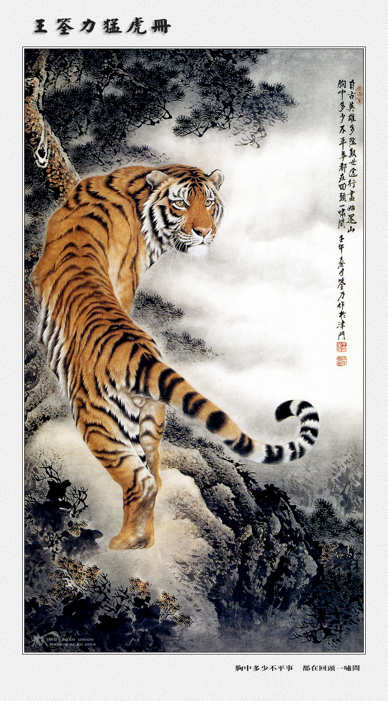 [maggie Scan] Wang Quan Li(Tiger); DISPLAY FULL IMAGE.