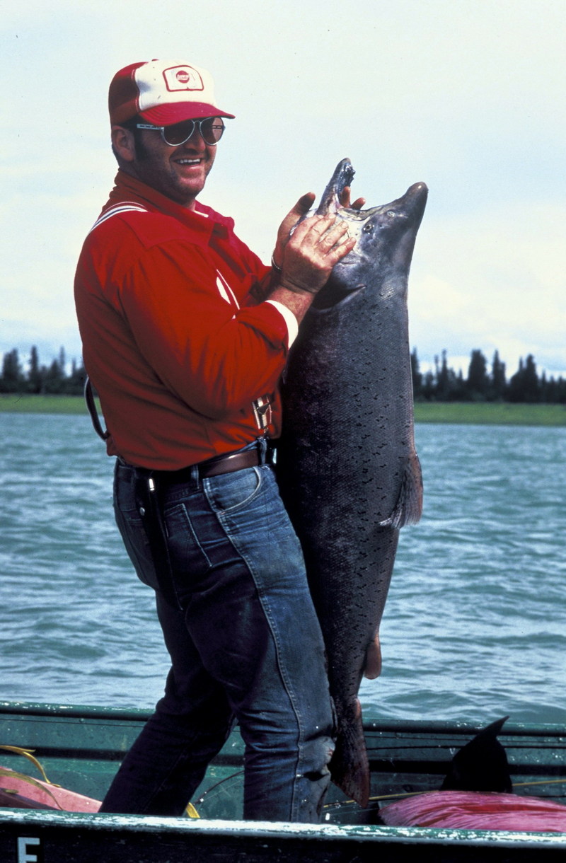 Chinook Salmon (Oncorhynchus tshawytscha) {!--왕연어-->; DISPLAY FULL IMAGE.