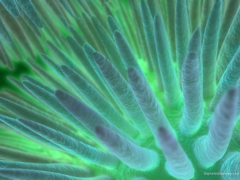 [Digital Blasphemy] Sea Urchin; DISPLAY FULL IMAGE.
