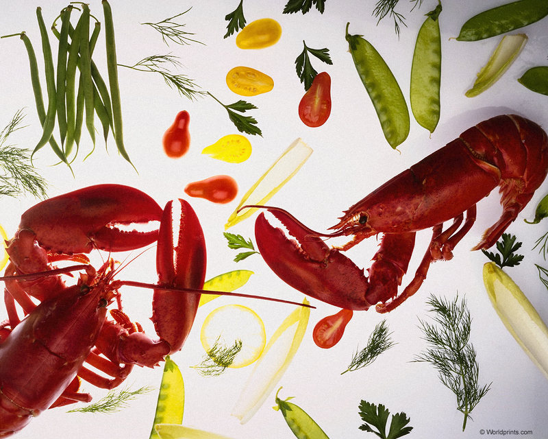 Lobsters; DISPLAY FULL IMAGE.