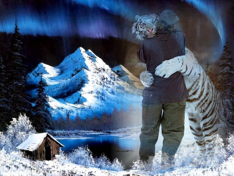 white tiger; DISPLAY FULL IMAGE.