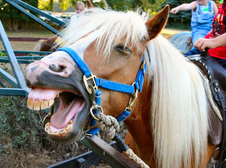 ney ney lad; DISPLAY FULL IMAGE.