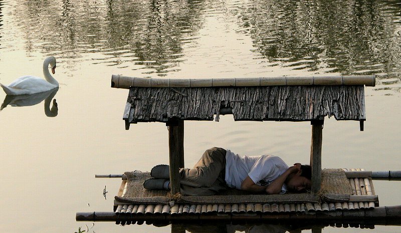 nap time; DISPLAY FULL IMAGE.