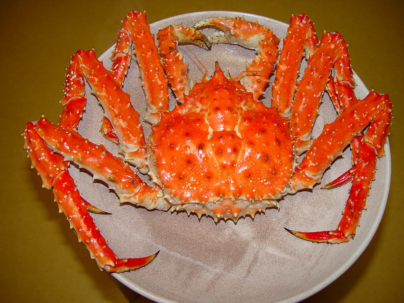 King crab; DISPLAY FULL IMAGE.