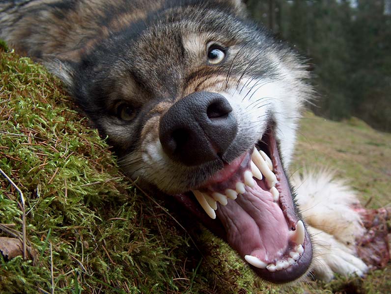 L??cheln ...; DISPLAY FULL IMAGE.