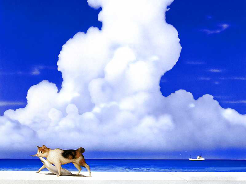 Kitties; DISPLAY FULL IMAGE.