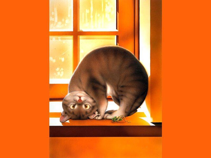 Kitties; DISPLAY FULL IMAGE.