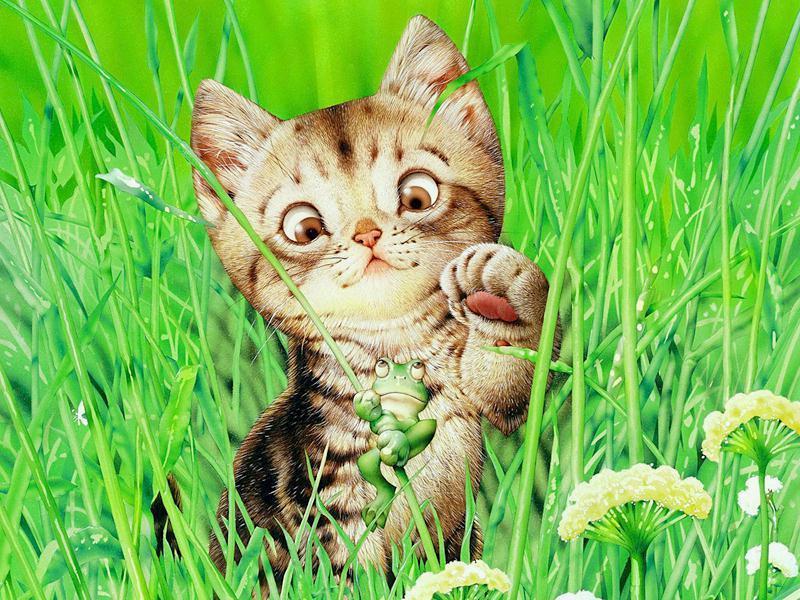 Kitties; DISPLAY FULL IMAGE.