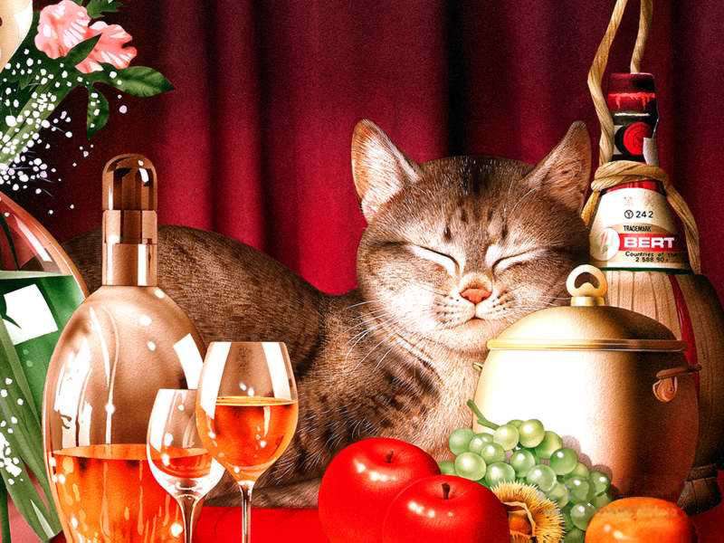 Kitties; DISPLAY FULL IMAGE.