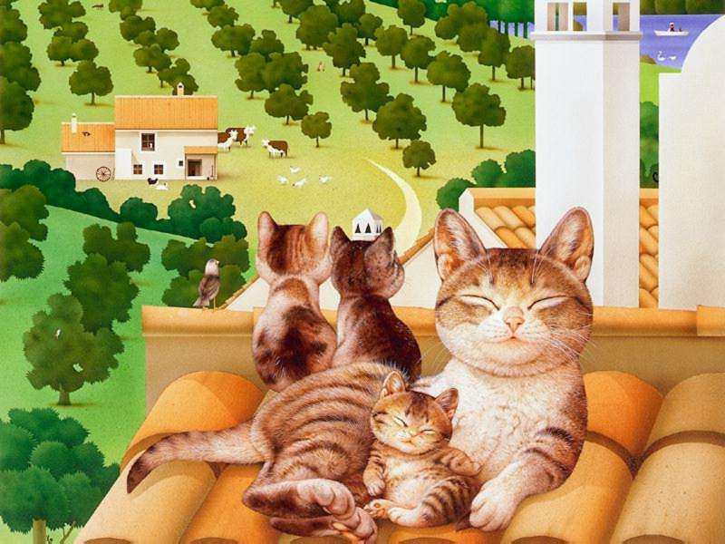 Kitties; DISPLAY FULL IMAGE.