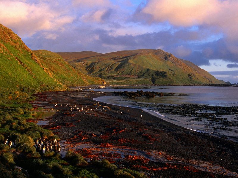 [Daily Photos] Sandy Bay at Dawn Macquarie Island, Antarctica; DISPLAY FULL IMAGE.