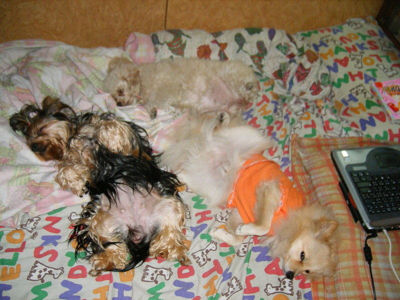 MY LOVE; DISPLAY FULL IMAGE.