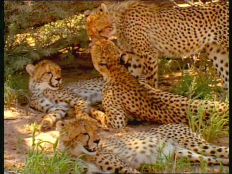 Family rest.jpg; DISPLAY FULL IMAGE.