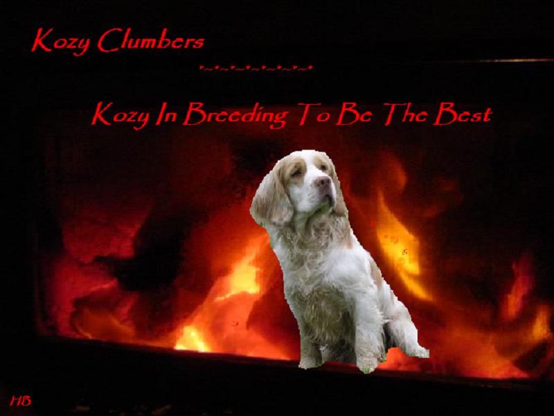 DOGS; DISPLAY FULL IMAGE.