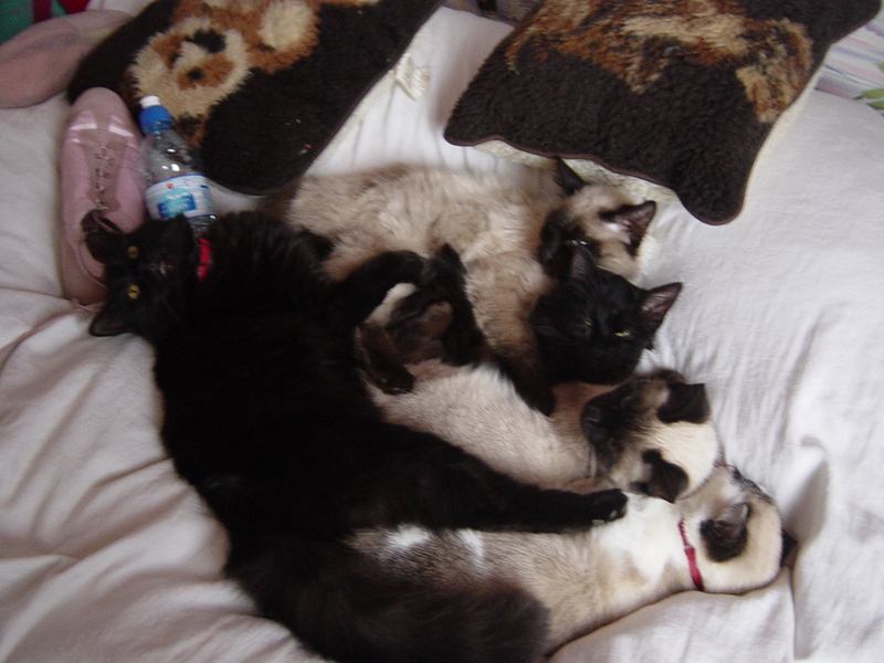 Family portrait; DISPLAY FULL IMAGE.