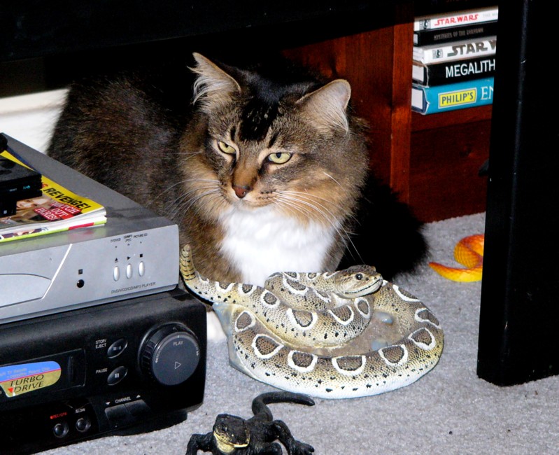 Cleopatra and her Asp...; DISPLAY FULL IMAGE.