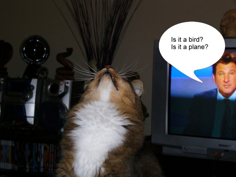 A piece of string; DISPLAY FULL IMAGE.