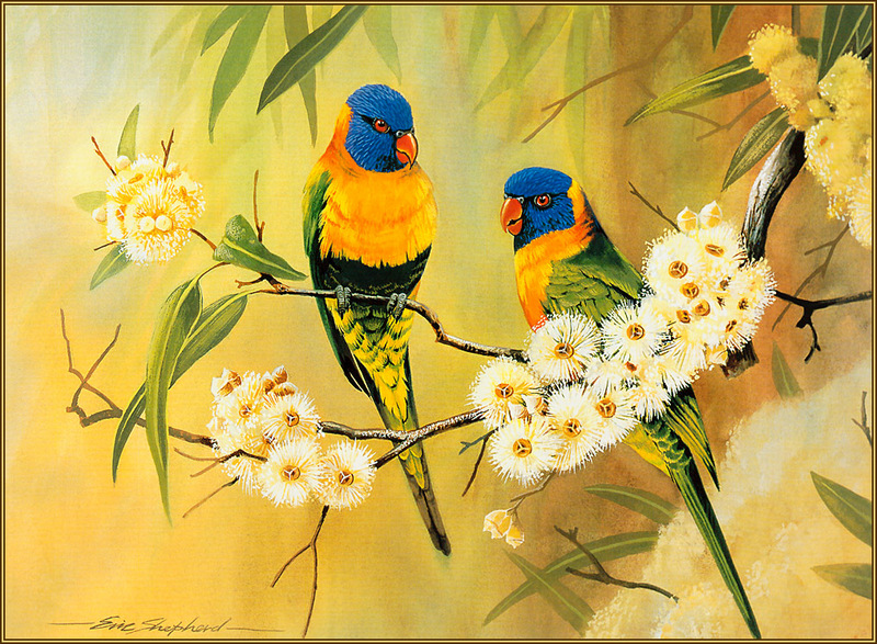 [Eric Shepherd's Beautiful Australian Birds Calendar 2003] Rainbow Lorikeet; DISPLAY FULL IMAGE.