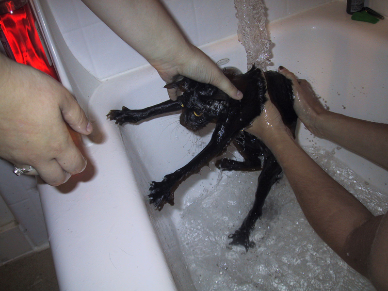 Bath time; DISPLAY FULL IMAGE.