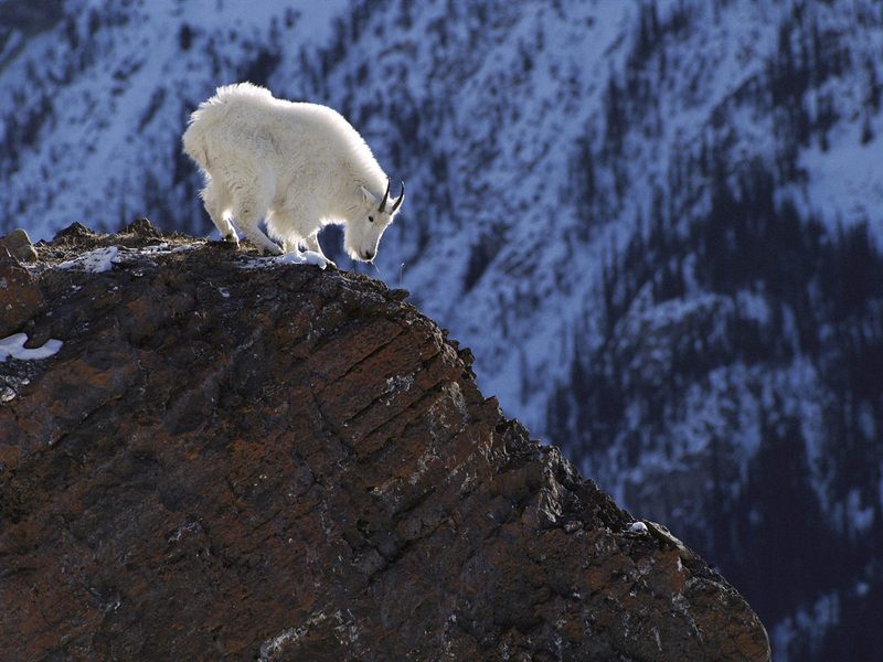 Long Way Down Rocky Mountains, Colorado, USA; DISPLAY FULL IMAGE.