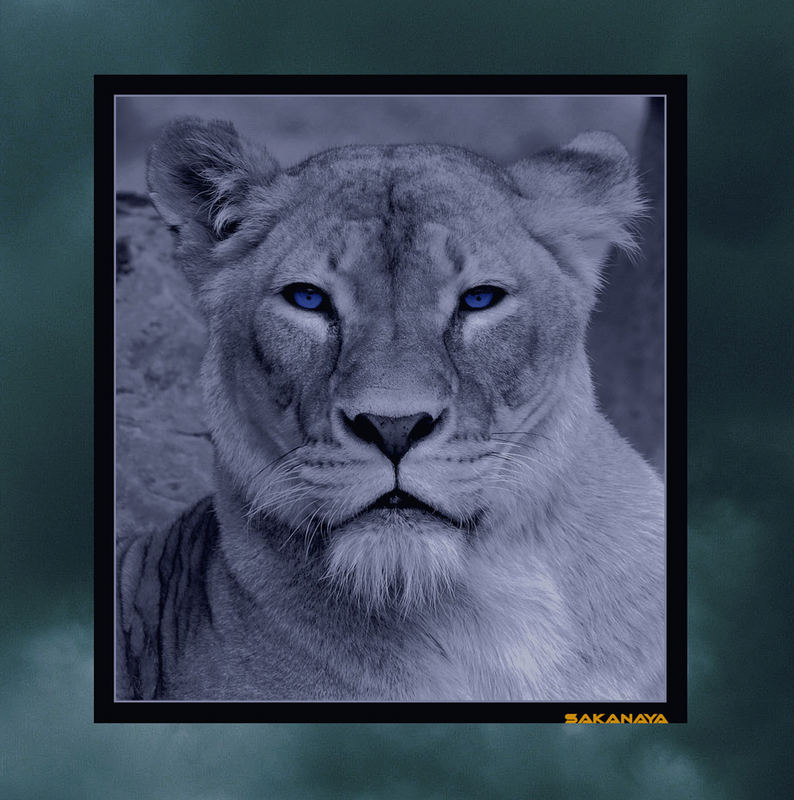 Hello; DISPLAY FULL IMAGE.