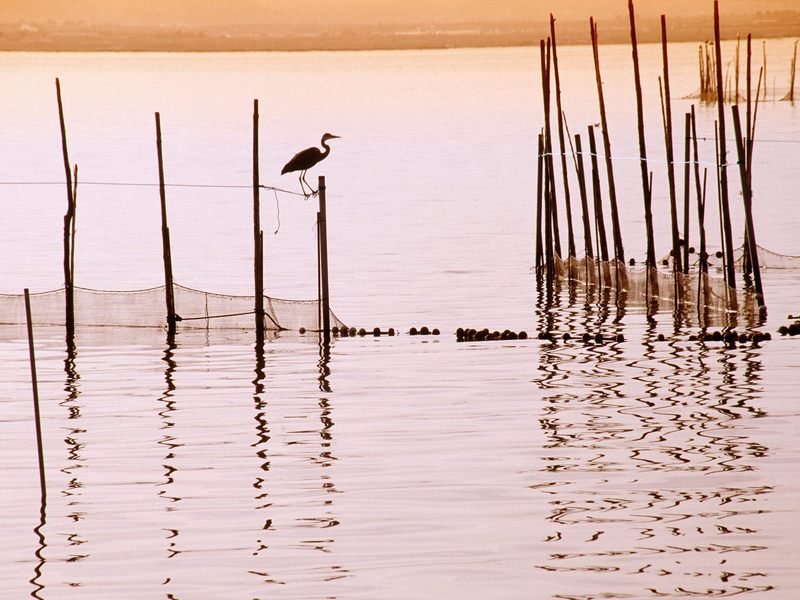 [Daily Photos] La Albufera National Park, Spain; DISPLAY FULL IMAGE.