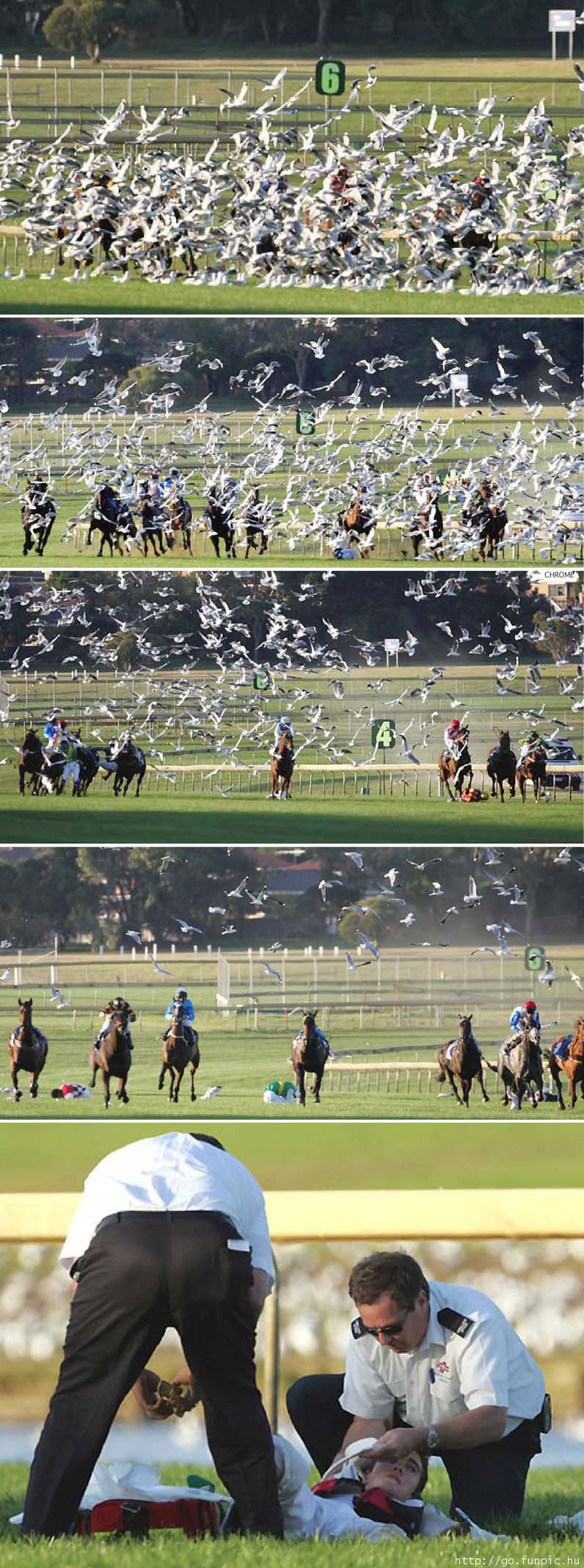 Flight Accident; DISPLAY FULL IMAGE.