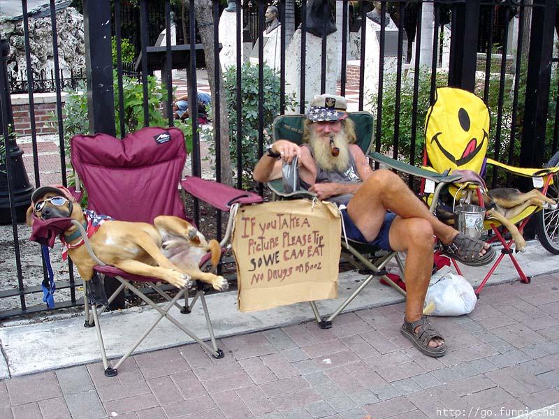 Dog-owner Lookalike; DISPLAY FULL IMAGE.